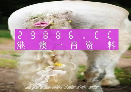>2025澳门精准正版免费四不像官方版和澳门管家婆100%精准,精选解析、解释与落实